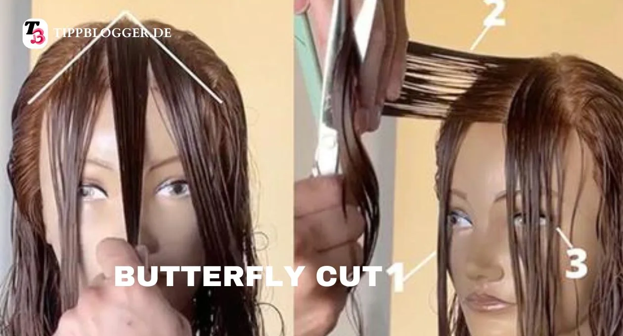 butterfly cut