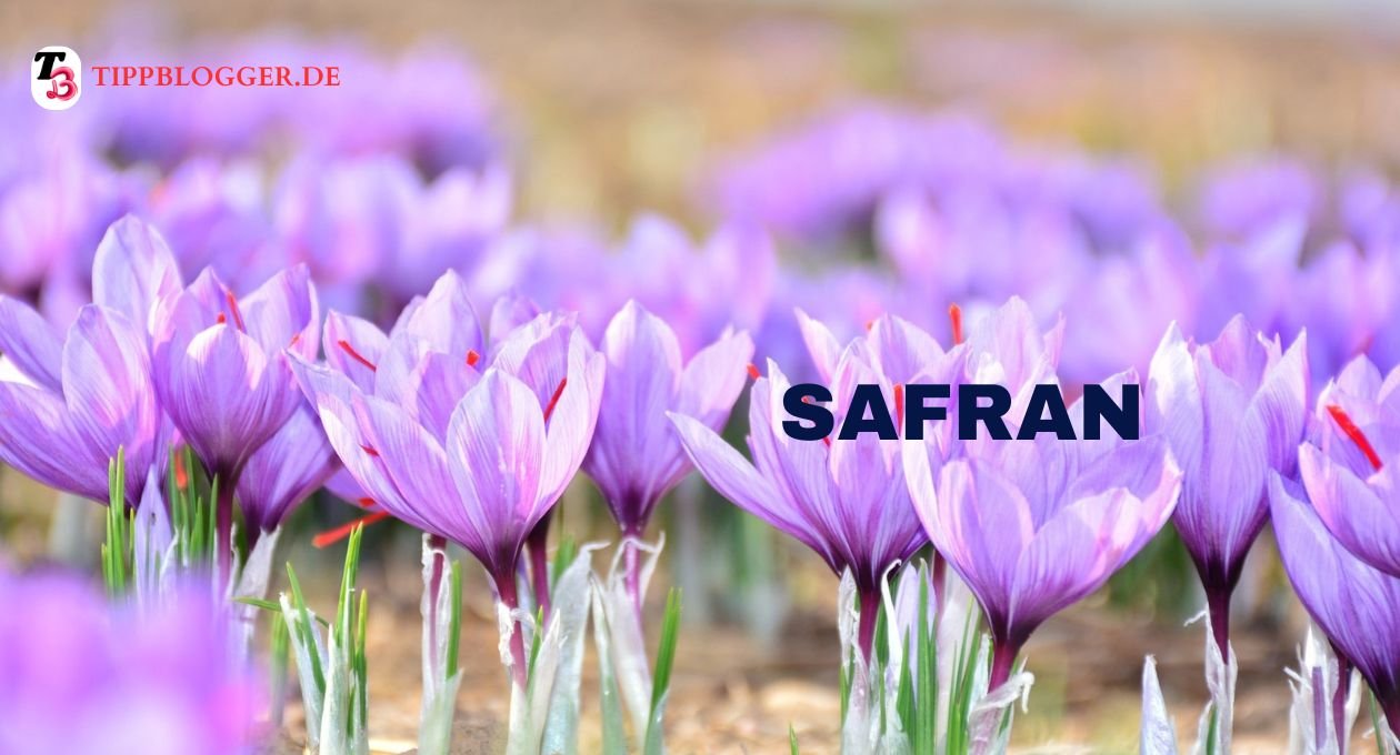 safran